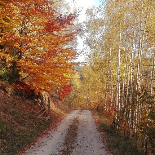Photo #3218496