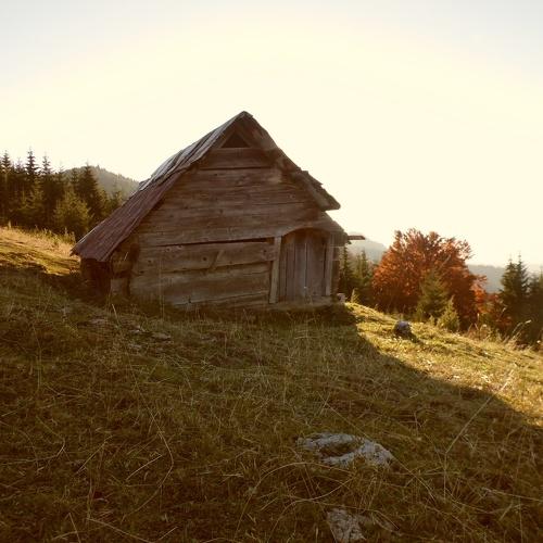 Photo #3218500