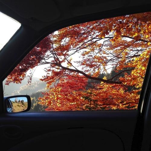 Photo #3218513