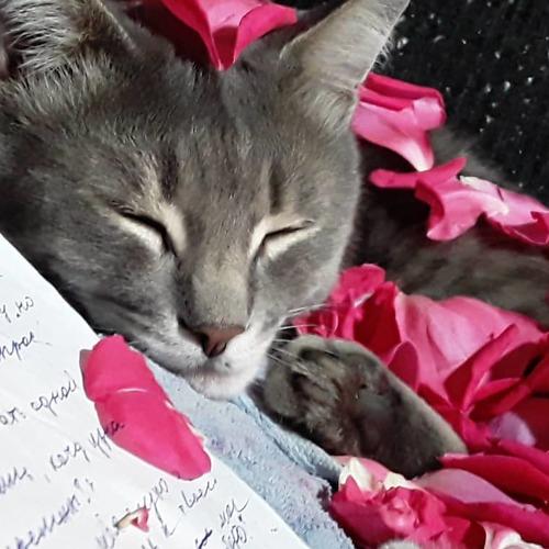 Photo #3218756