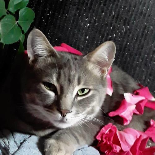 Photo #3218795