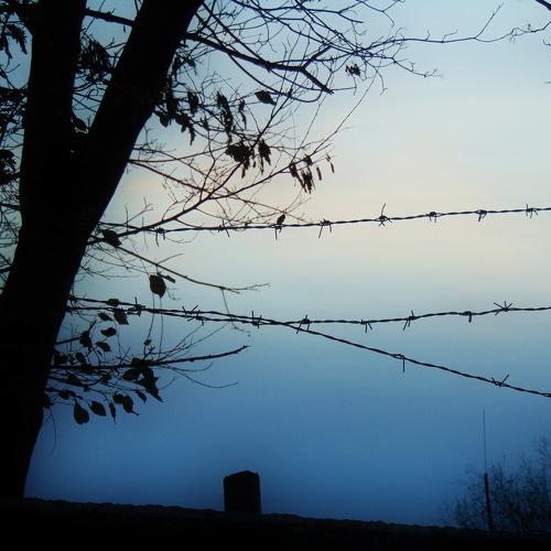 Photo #3220401