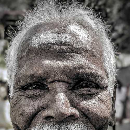 Photo #3220435