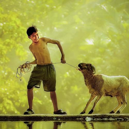 A boy with his pet