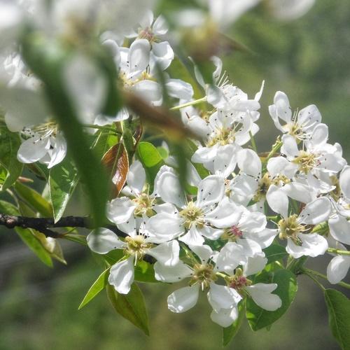 Photo #3222792