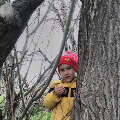 Photo #3224887