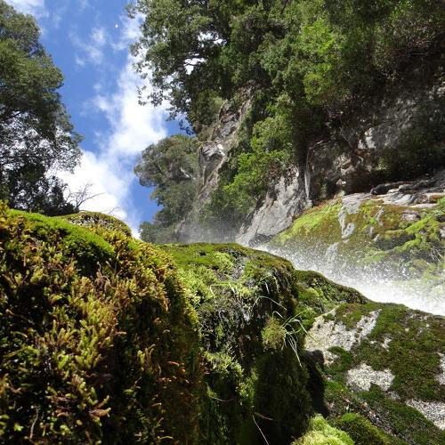 Belleza natural