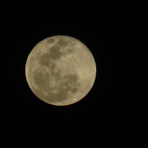 Moon night Soothing pic