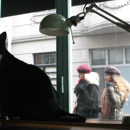 The Observer ..