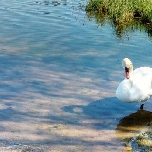 Одиночество