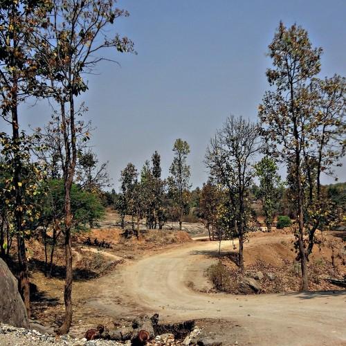 Photo #3227788