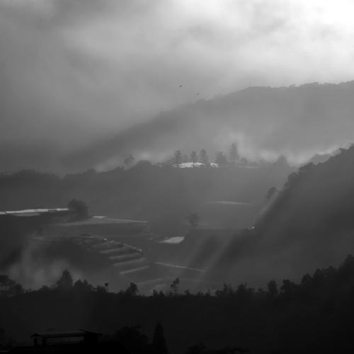 Morning dew during sunrise