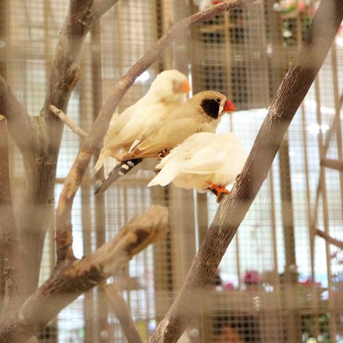 Photo #3227953