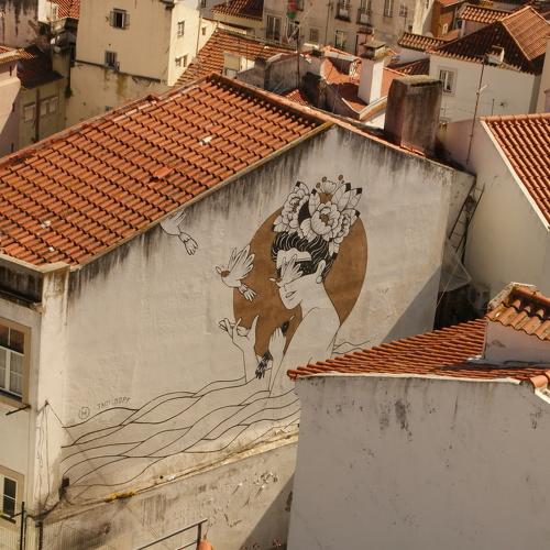 Photo #3228456