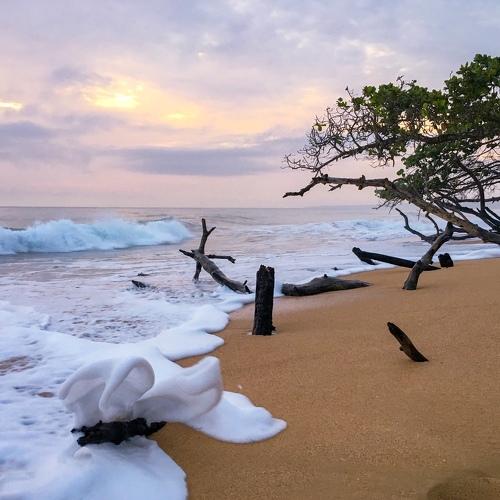 Sea breeze