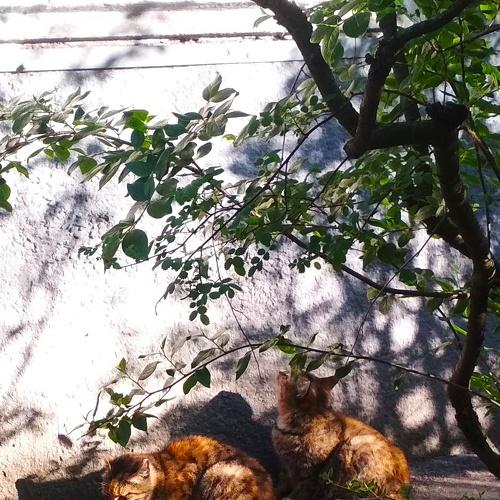 Photo #3229027