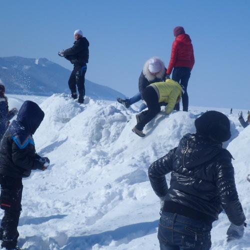 Photo #3229184