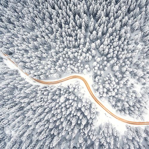 Frozen