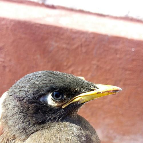 Photo #3229624