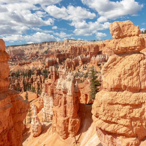 Canyon