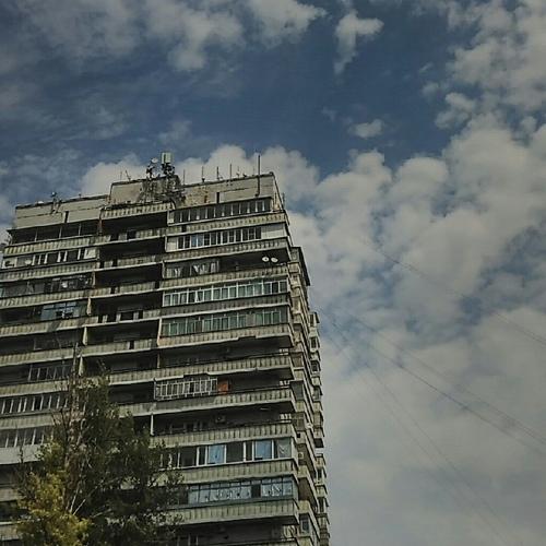 Photo #3230186