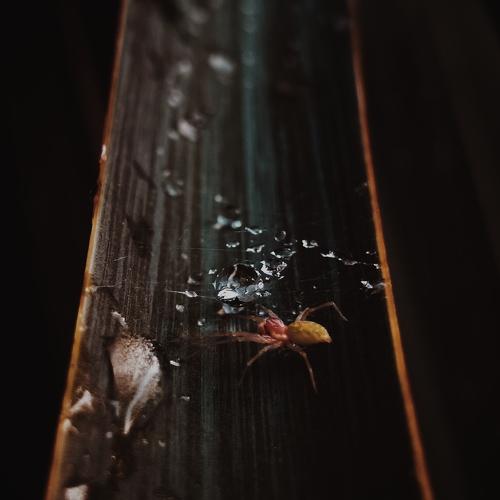 Photo #3230481