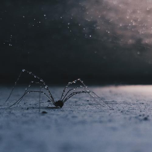 Photo #3230485