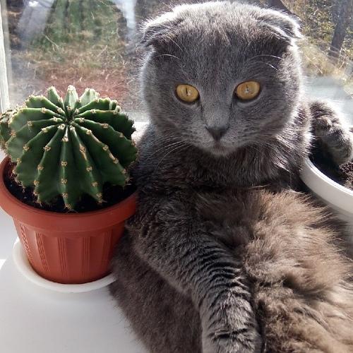 Photo #3231168