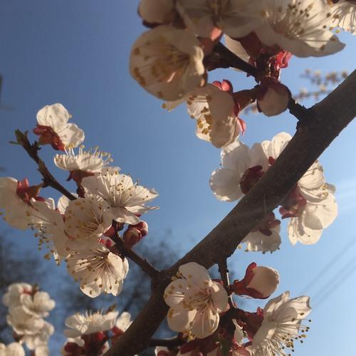 Photo #3231646
