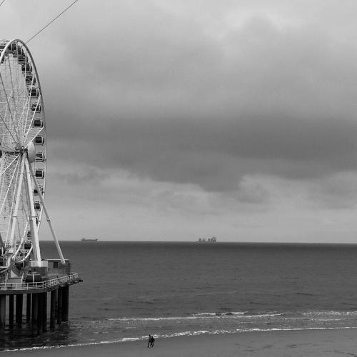 Photo #3232072