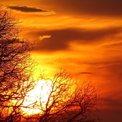 The sun sets