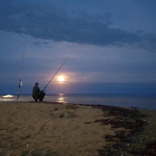 Pesca nocturna