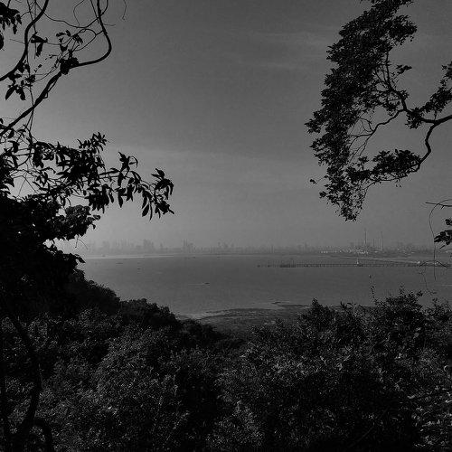 view from elephanta india