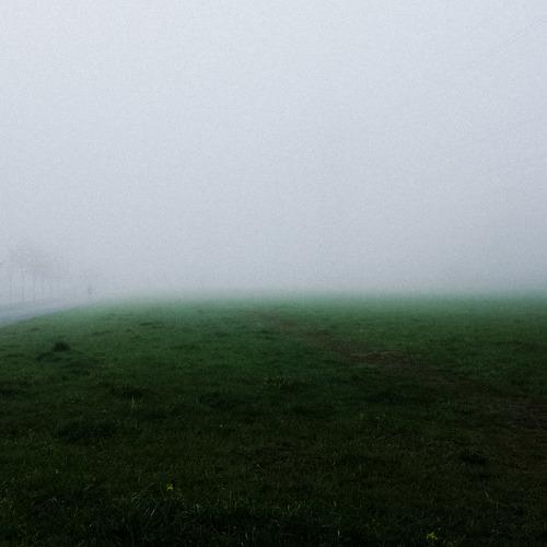 Photo #3234412