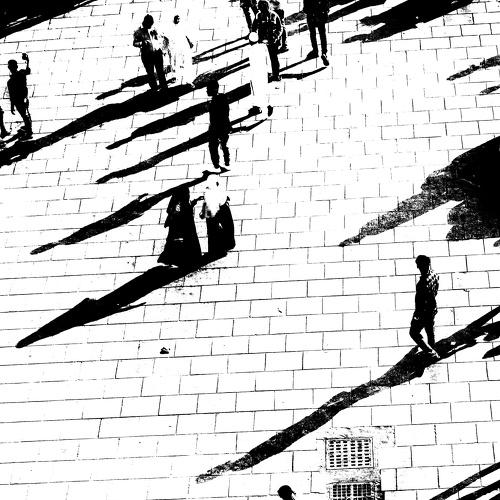 Shadow of Lights
