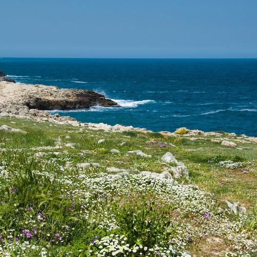 Photo #3234738