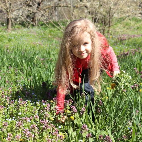 Photo #3234808