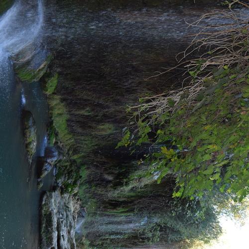 Photo #3235112