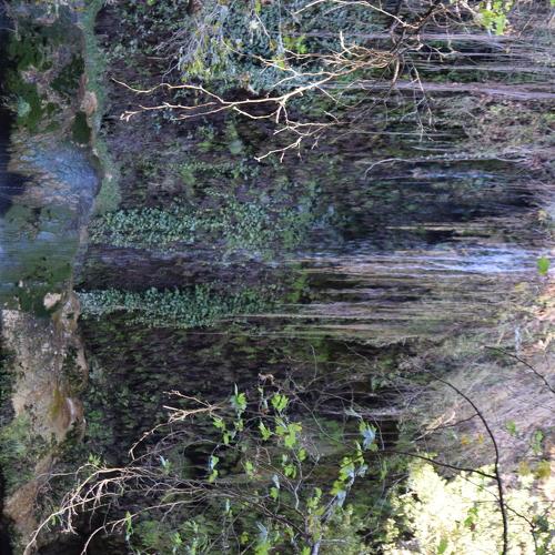 Photo #3235116