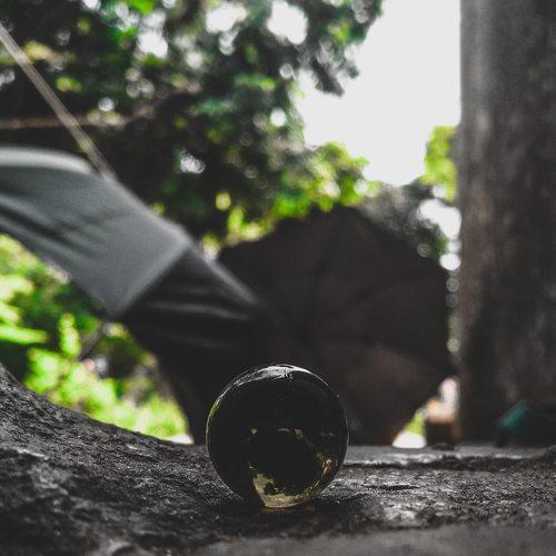 Photo #3235486