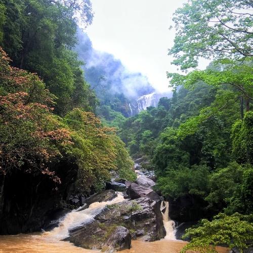 Falls