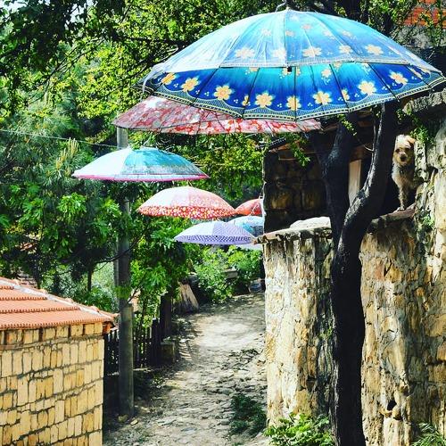 Umbrella Street