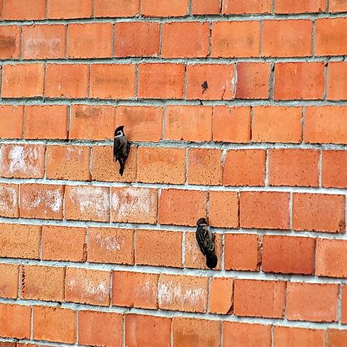 Photo #3236287