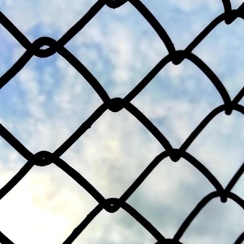 A look at freedom