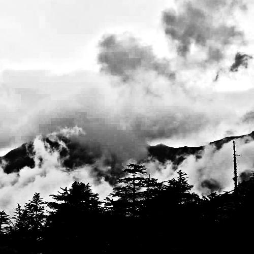 Photo #3236664