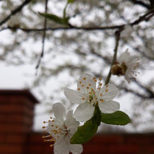 Photo #3236987