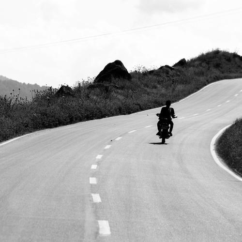 Photo #3237979