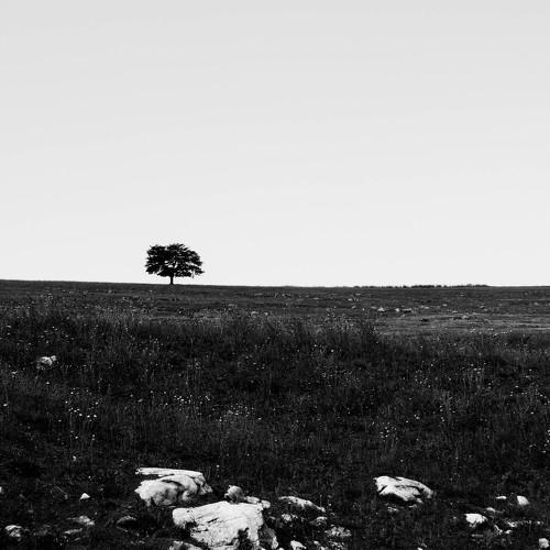 Photo #3237985