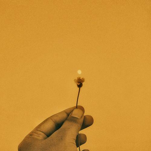 "Aroma & Moon"