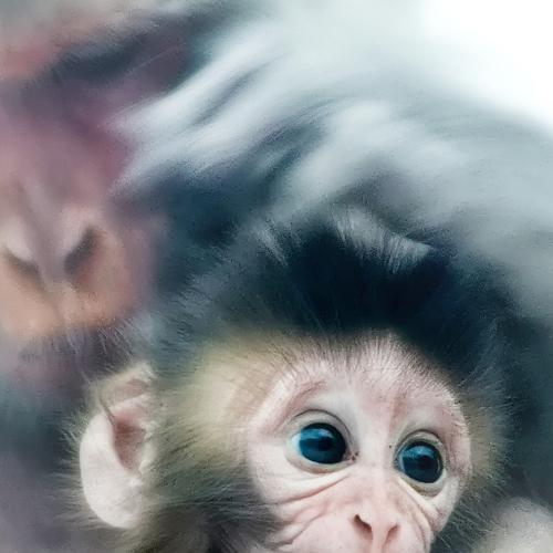A look of Curiosity